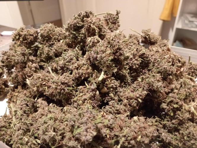 FB Apple Strudel. Week 14