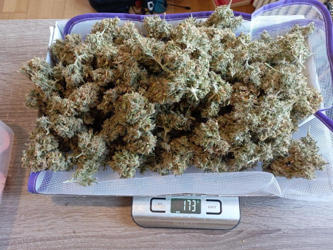 FB Apple Strudel. Week 14