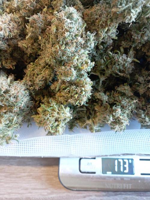 FB Apple Strudel. Week 14