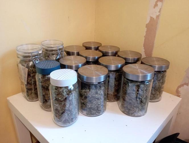 my GROWSTORY. Week 9