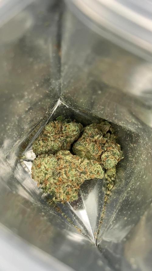Hollywood (Lemon Cherry Gelato X Runtz)