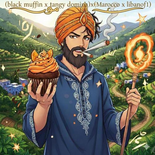 (Bmxtd)x(lxmf1). Week 2