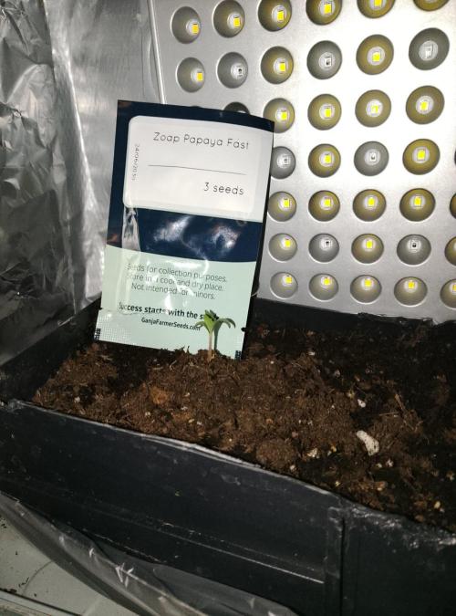 Mini grow pc. Week 0