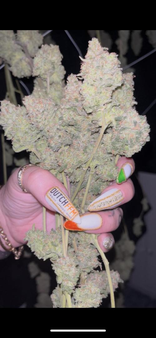 POLVORONES DE NARANJA. Week 12