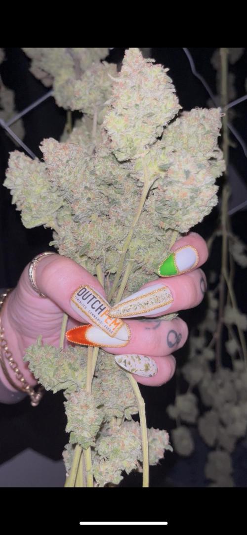 POLVORONES DE NARANJA. Week 12