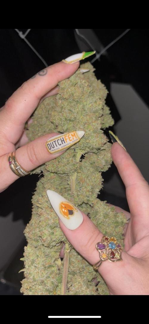 POLVORONES DE NARANJA. Week 12