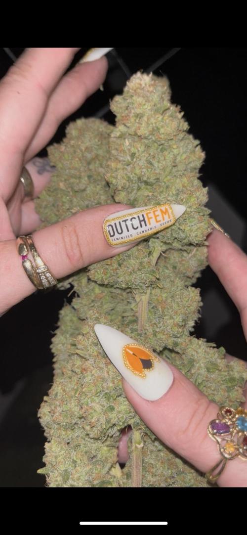 POLVORONES DE NARANJA. Week 12