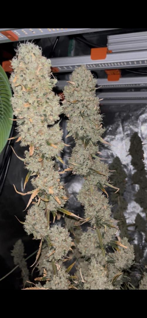 Future is here. Week 14