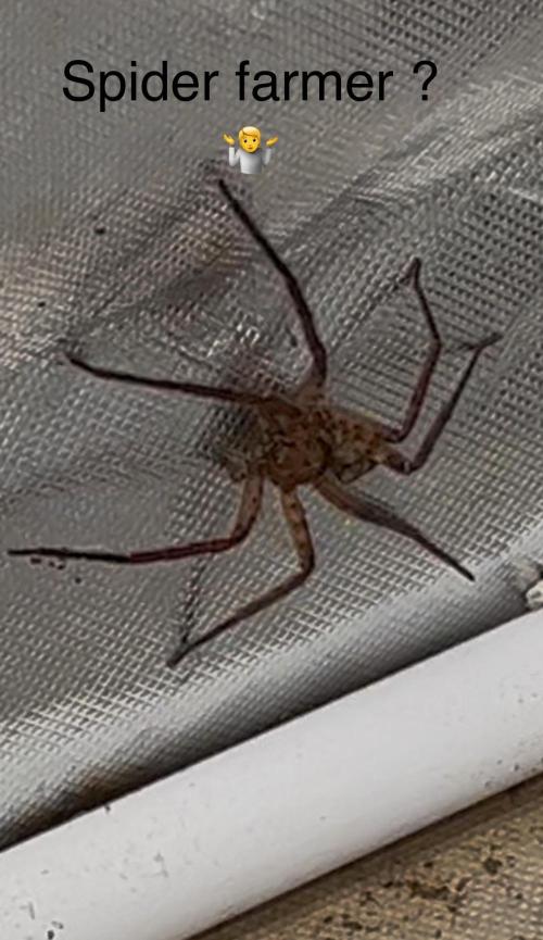 Future is here. Week 14