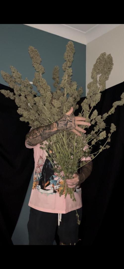 Future is here. Week 15