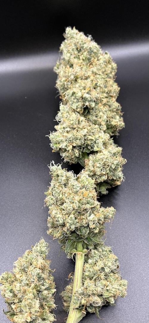 Future is here. Week 15