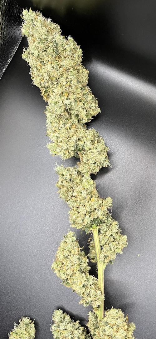 Future is here. Week 15