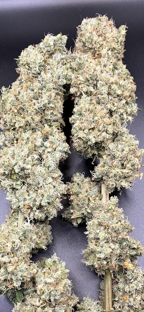 Future is here. Week 15