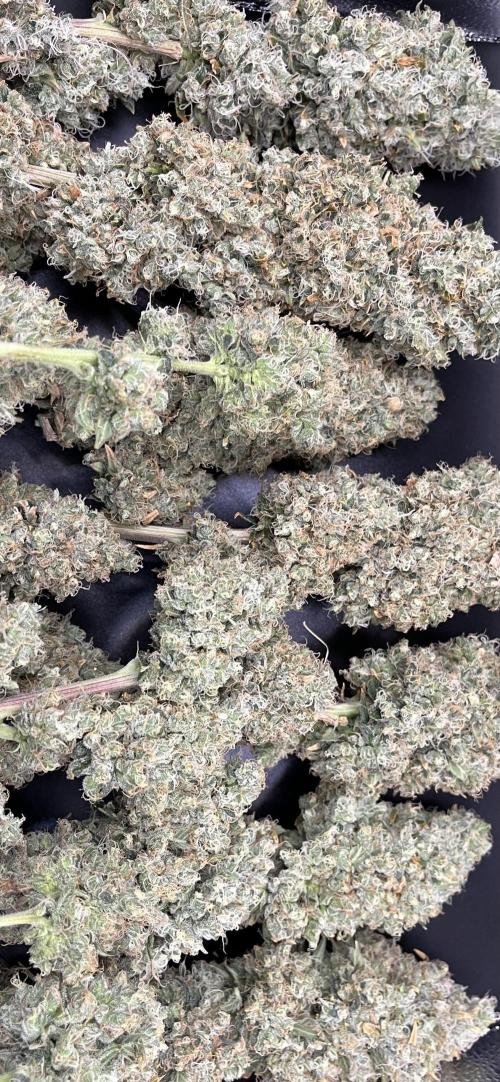 Future is here. Week 15