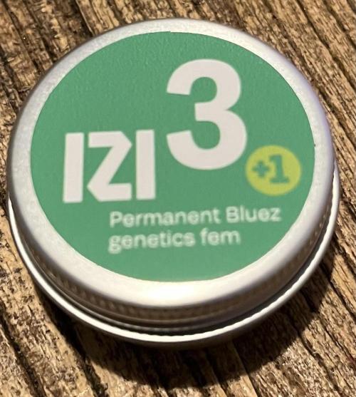 Permanent Bluez IZI Seeds Grow contest. Week 0
