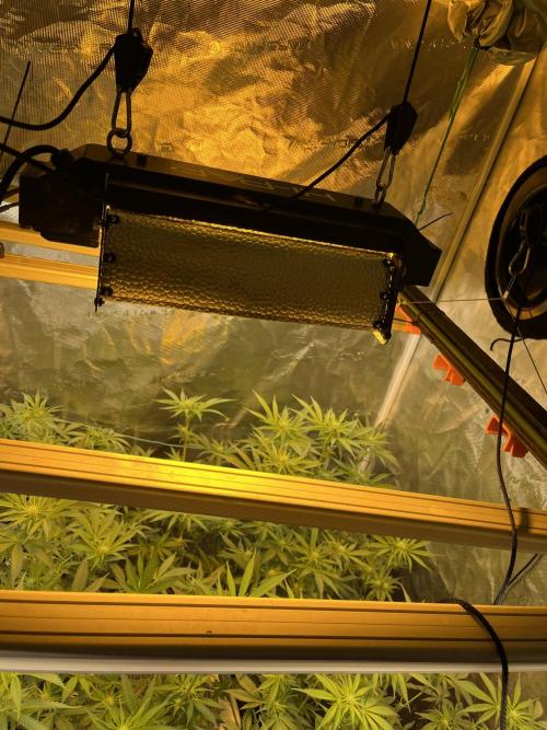 RS11 take 2. Week 6