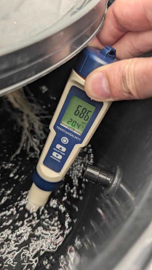 Simba Fast Durban Poison. Week 6 - DP1