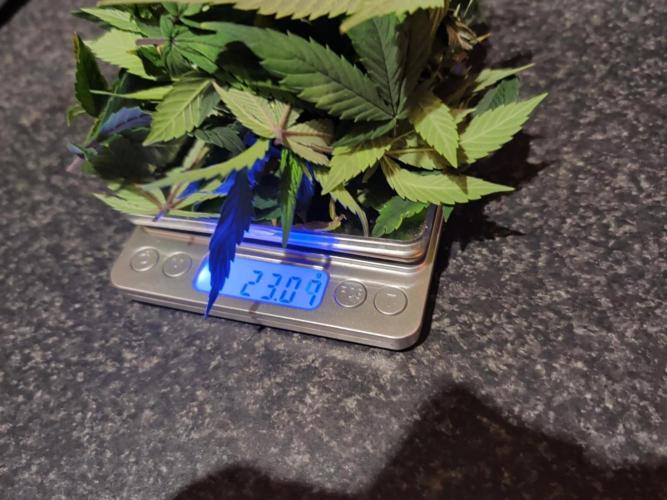 Simba Fast Durban Poison. Week 10 - DP1