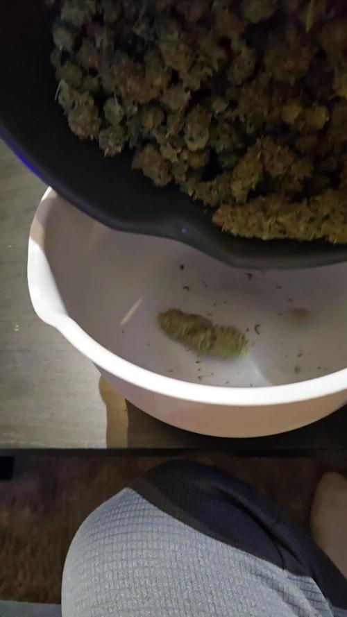 Ganja Farmer-skywalker 2.0