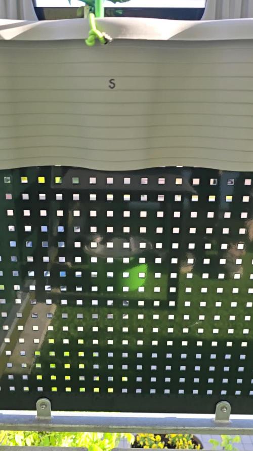 Cheese auto xl balkon