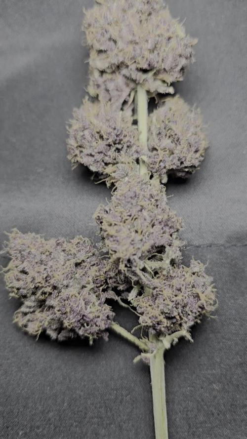 Cherry cola auto