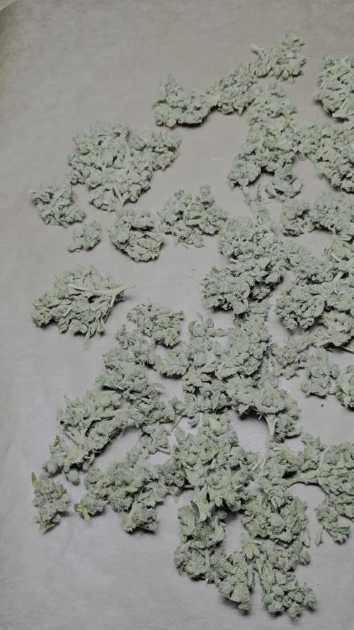 Cheese auto xl balkon