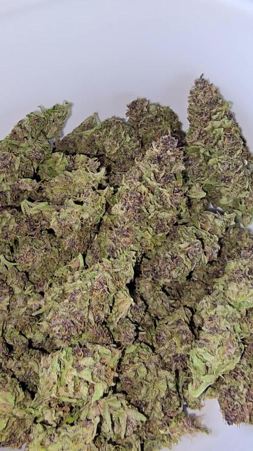 Tropicana cookies auto balkon