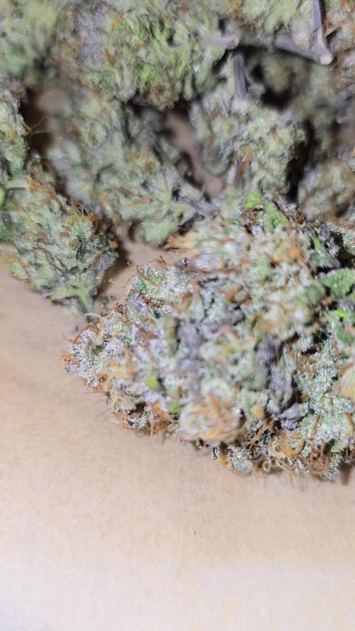 Bananas-FastBuds