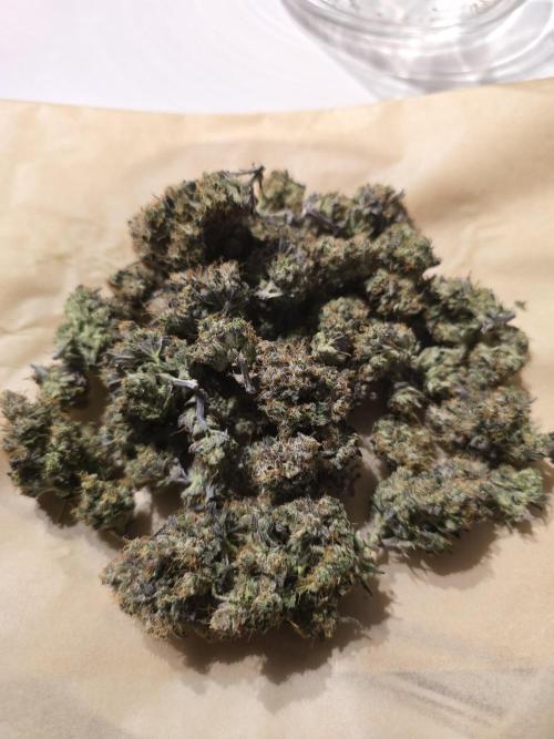 Bananas-FastBuds. Week 10