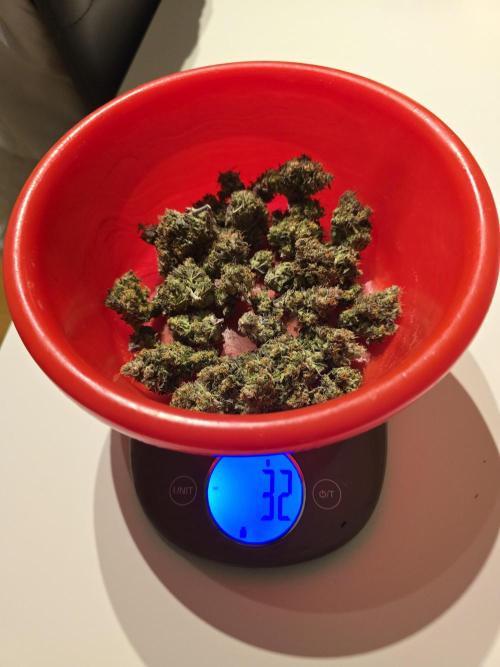 Bananas-FastBuds. Week 10