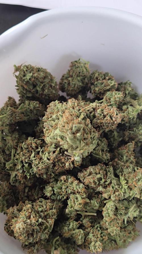Frostbanger FastBuds