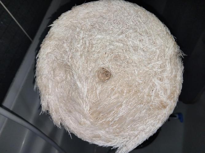 Candy Kush @ Nirvana Seeds. Week 5 - Day 37
Root