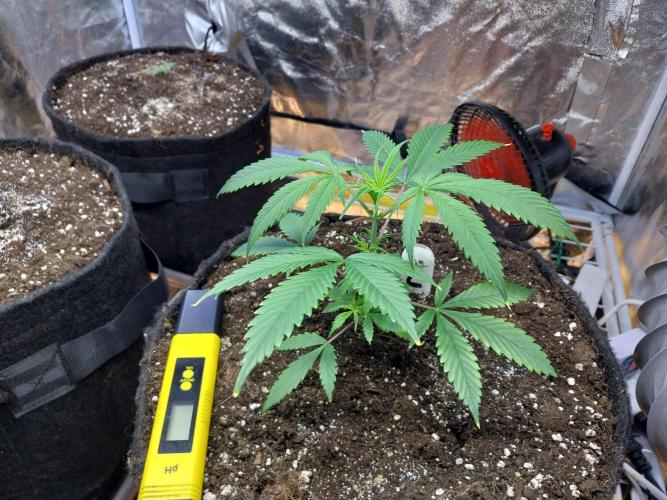 Poudraufou. Week 5 - 29/10