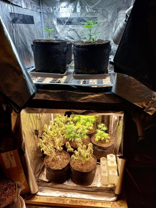 Blanchette. Week 1 - 31/10