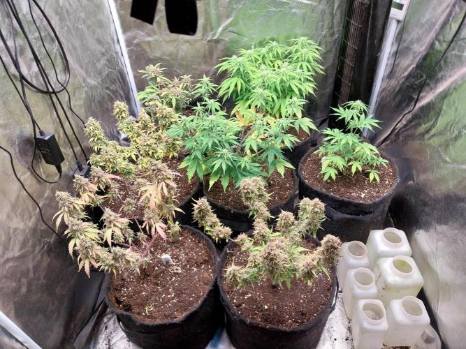 Mat Ohperché. Week 9 - 31/10