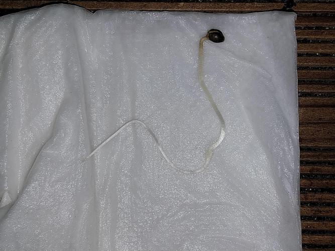 Quoitesqueu. Week 0 - 07/11 n°1