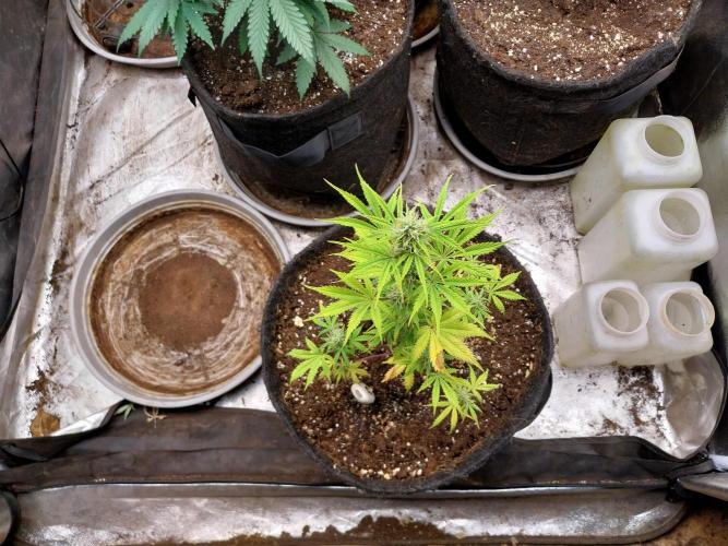 Beuhengelé. Week 9 - 14/11