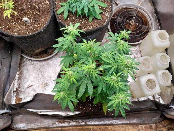 Oeuf-coktail. Week 6 - 24/11 