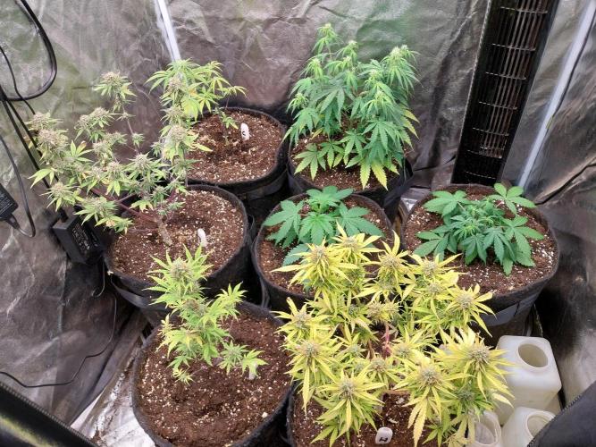 Blanchette. Week 4 - 24/11