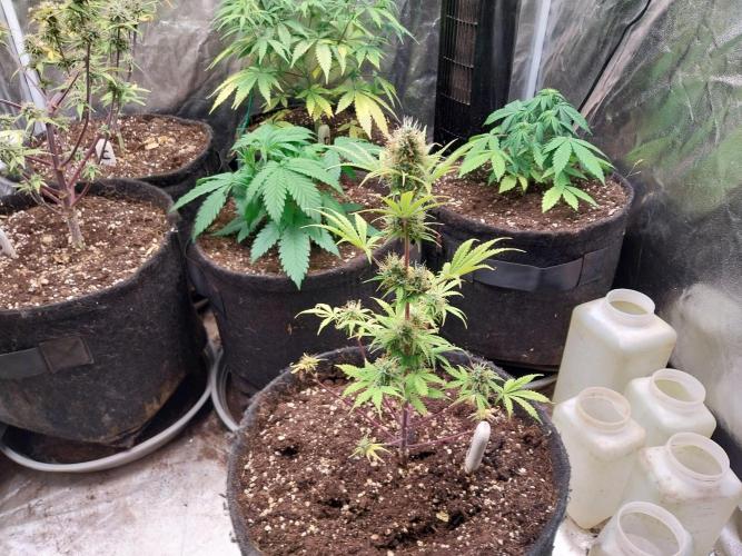 Beuhengelé. Week 11 - 27/11