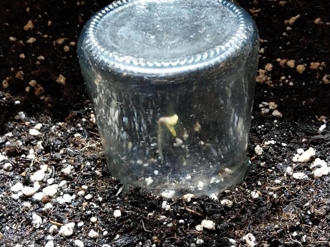 habannon. Week 0 - 23/11