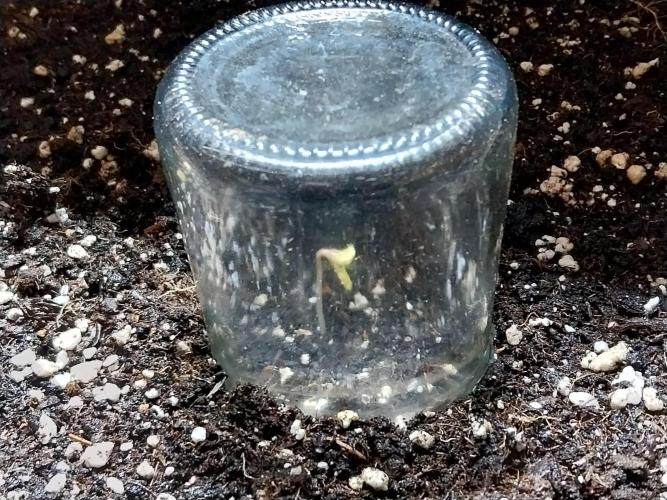 habannon. Week 0 - 23/11