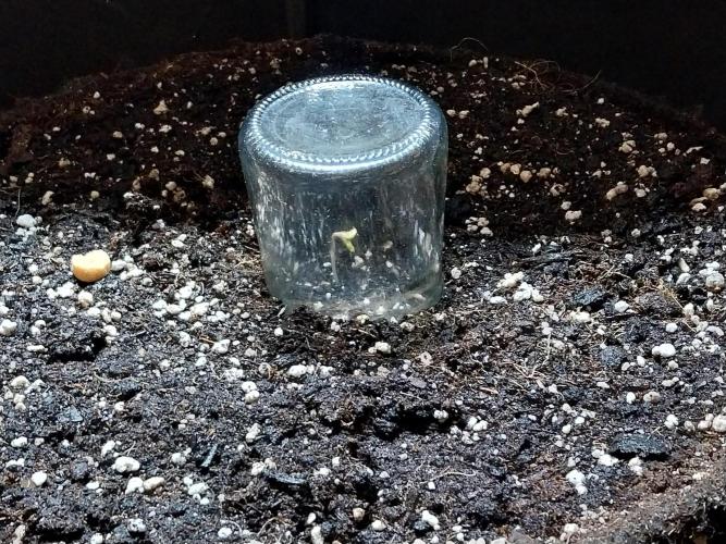 habannon. Week 0 - 23/11