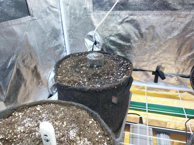 habannon. Week 0 - 23/11