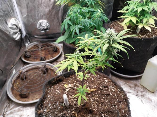 Poudraufou. Week 10 - 07/12