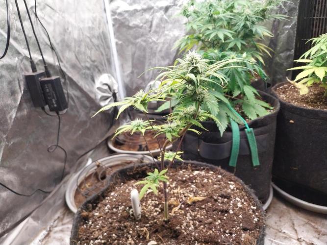 Poudraufou. Week 10 - 07/12