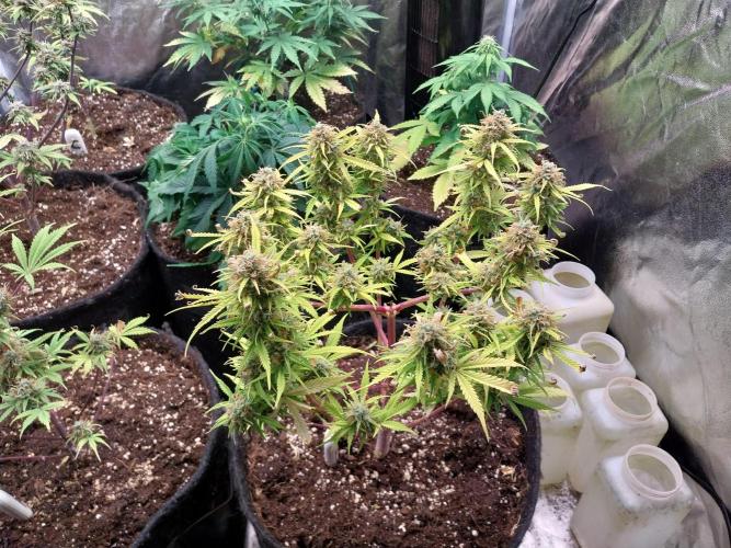 Mat Ohperché. Week 14 - 05/1