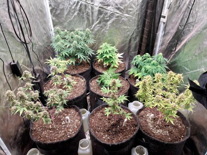 Mat Ohperché. Week 14 - 11/12 Le bas est plein. 