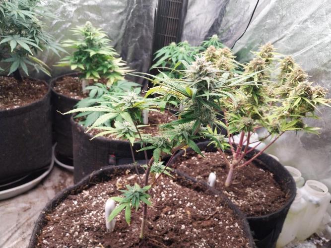 Poudraufou. Week 11 - 14/12