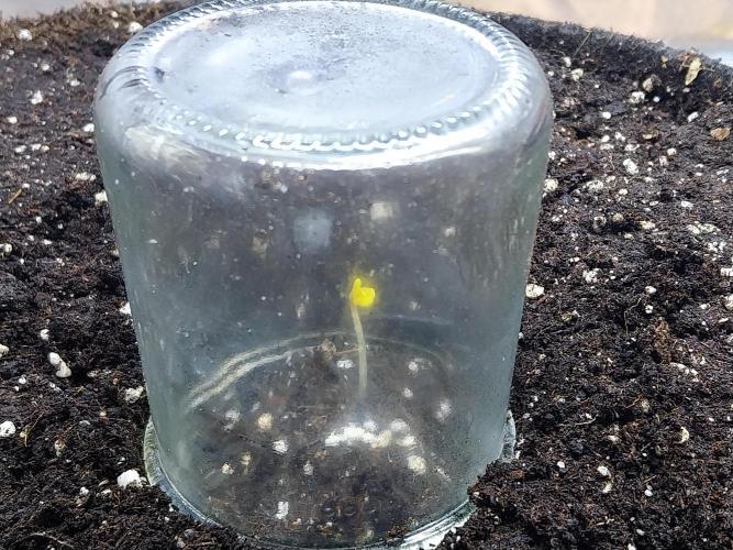 Testelabeu. Week 0 - 13/12